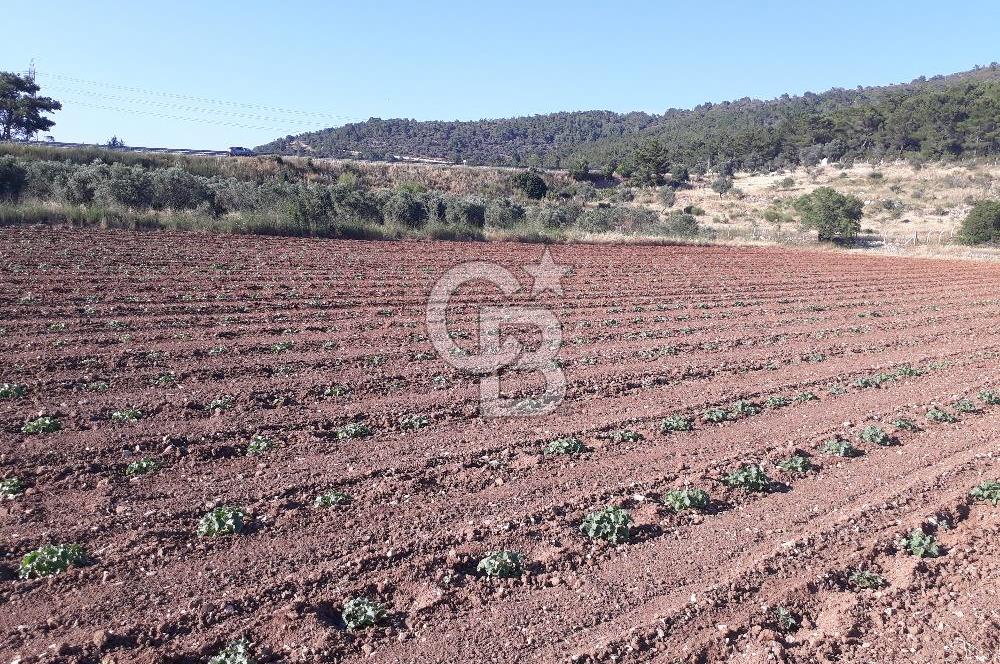 Eski Çeşme Yolu'nda Doğaya Yatırım, Huzura Komşuluk