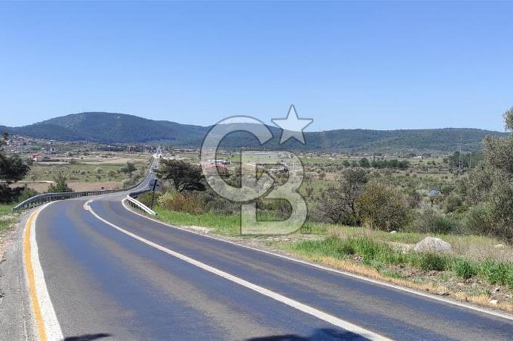 Urla Birgi'de, Bağların ve Zeytinliklerin Arasında Ege'nin Saklı