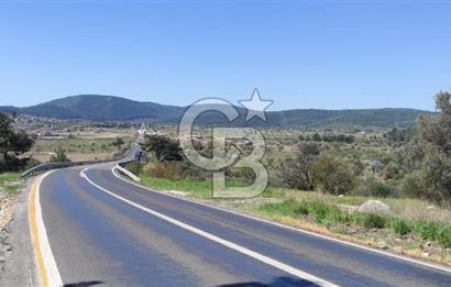 Urla Birgi'de, Bağların ve Zeytinliklerin Arasında Ege'nin Saklı