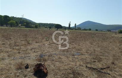 Toprağın Değeri Bugünün Değil, Yarının Hikâyesini Yazar...