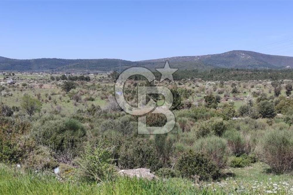 Urla Birgi'de, Doğanın Kalbinde Değerli Bir Yatırım Fırsatı