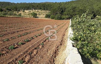 Eski Çeşme Yolu'nda Doğaya Yatırım, Huzura Komşuluk