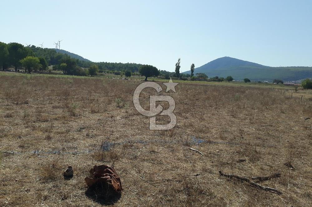 İZMİR URLA BİRGİ MAHALLESİ'NDE SATILIK TARLA