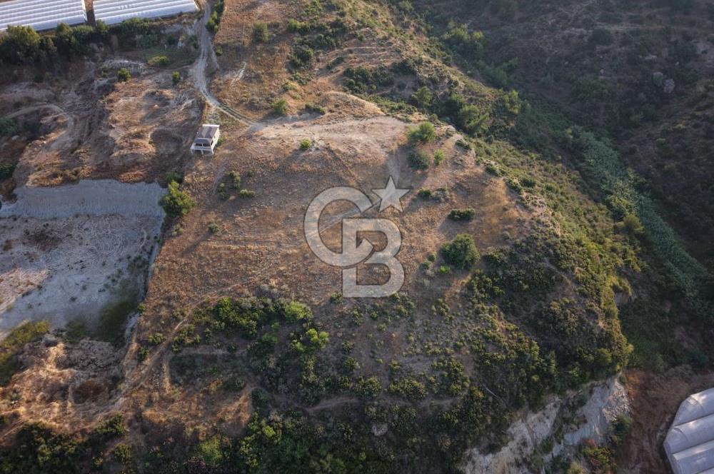 Antalya Aksu Çalkaya Satılık 5.5M TL Takaslı Tarla