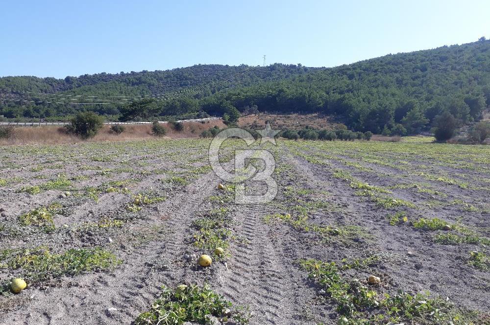 Eski Çeşme Yolu'nda Doğaya Yatırım, Huzura Komşuluk