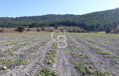 Eski Çeşme Yolu'nda Doğaya Yatırım, Huzura Komşuluk