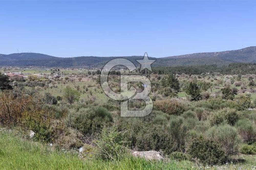 Urla Birgi'de, Doğanın Kalbinde Değerli Bir Yatırım Fırsatı