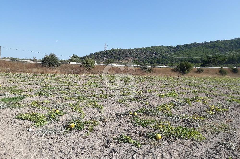 Eski Çeşme Yolu'nda Doğaya Yatırım, Huzura Komşuluk