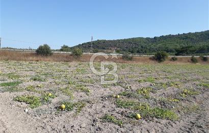 Eski Çeşme Yolu'nda Doğaya Yatırım, Huzura Komşuluk