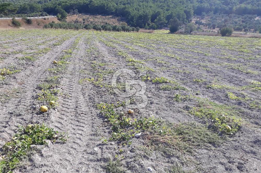 Eski Çeşme Yolu'nda Doğaya Yatırım, Huzura Komşuluk