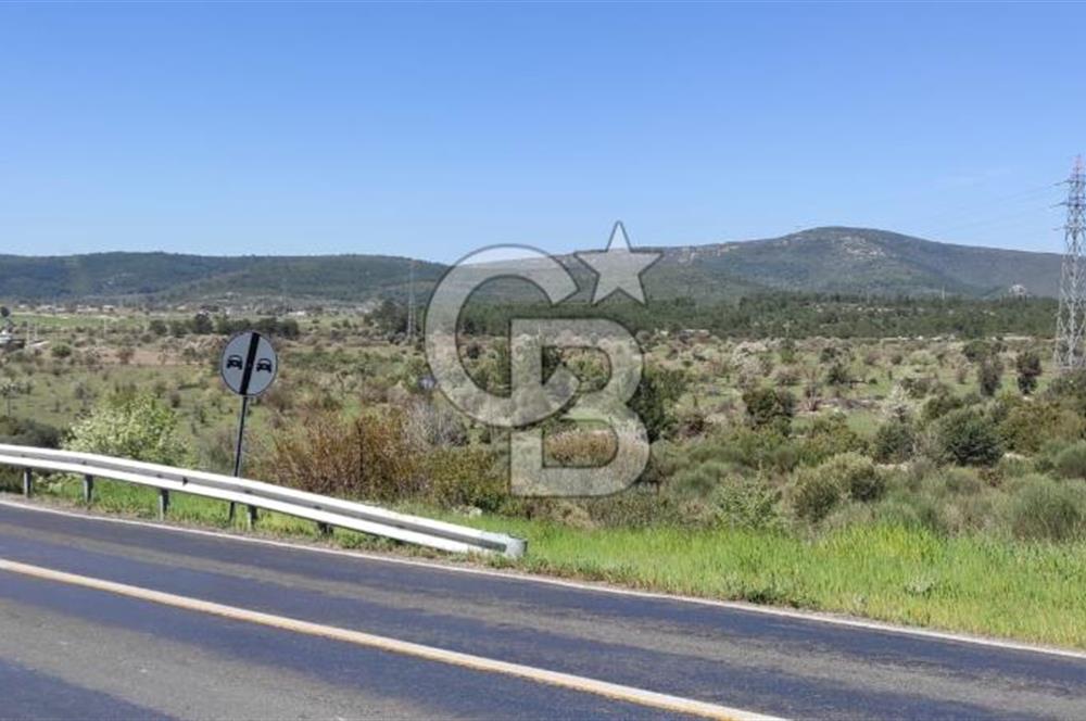 Urla Birgi'de, Doğanın Kalbinde Değerli Bir Yatırım Fırsatı