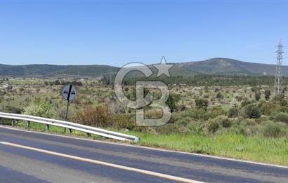 Urla Birgi'de, Doğanın Kalbinde Değerli Bir Yatırım Fırsatı