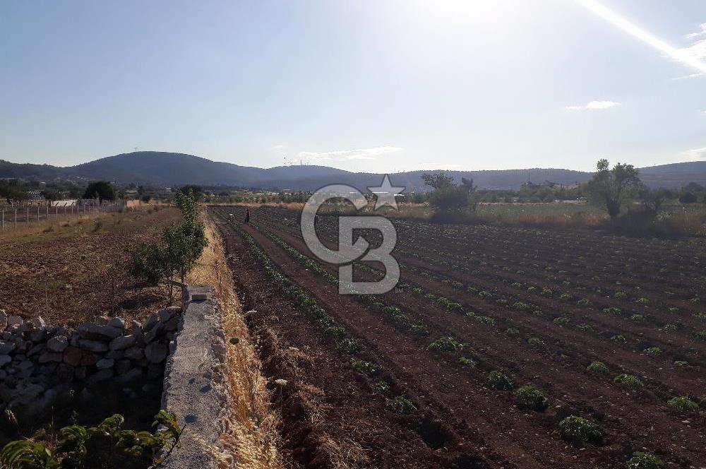 Eski Çeşme Yolu'nda Doğaya Yatırım, Huzura Komşuluk