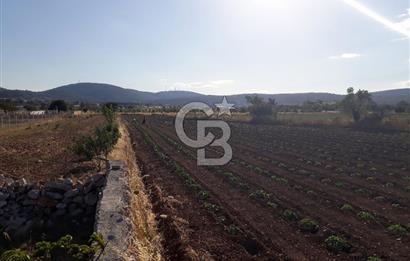 Eski Çeşme Yolu'nda Doğaya Yatırım, Huzura Komşuluk