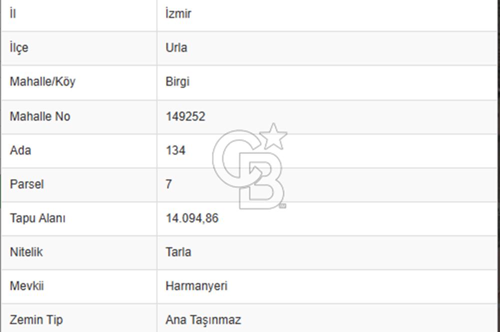 İZMİR URLA BİRGİ MAHALLESİ'NDE SATILIK TARLA