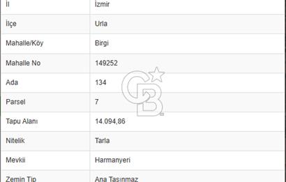 İZMİR URLA BİRGİ MAHALLESİ'NDE SATILIK TARLA