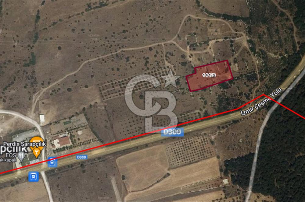 Urla Birgi'de, Doğanın Kalbinde Değerli Bir Yatırım Fırsatı