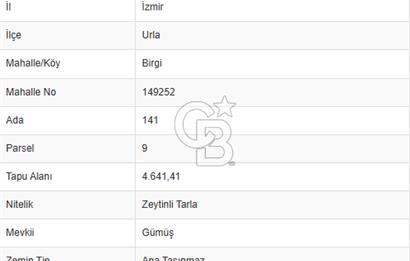 Urla Birgi'de, Doğanın Kalbinde Değerli Bir Yatırım Fırsatı