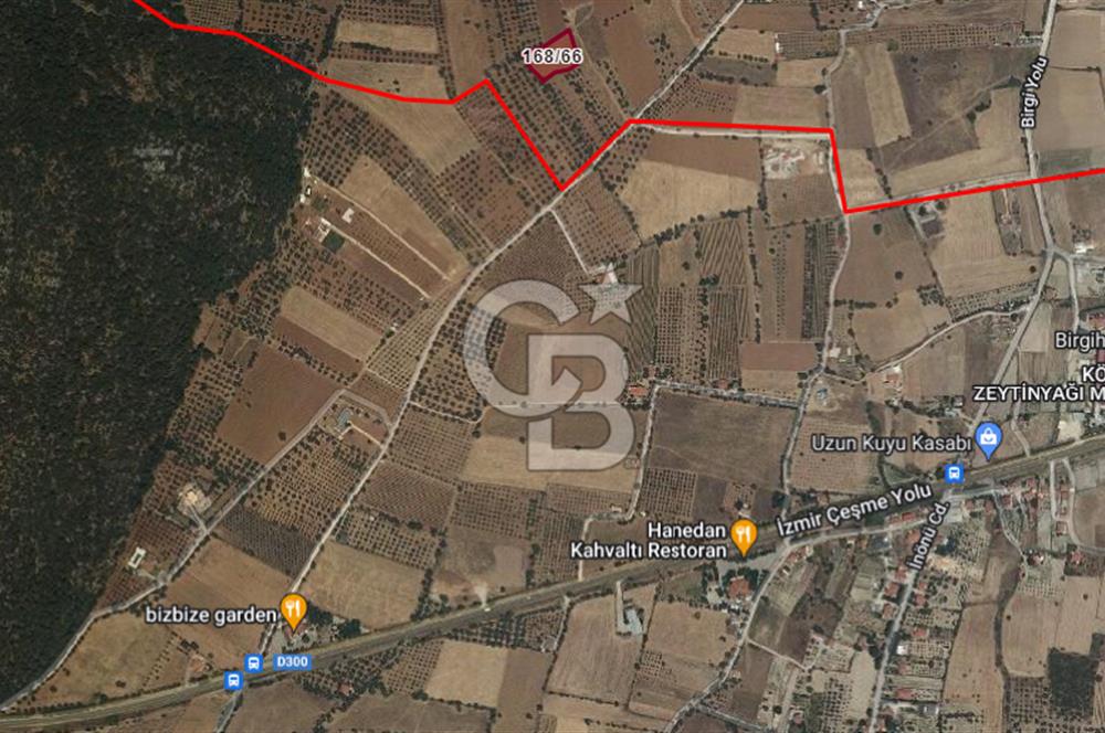 Urla Birgi'de, Bağların ve Zeytinliklerin Arasında Ege'nin Saklı