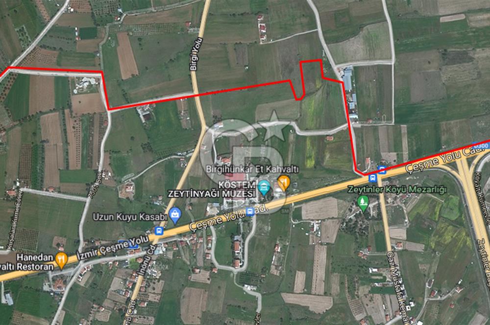 Urla Birgi'de, Bağların ve Zeytinliklerin Arasında Ege'nin Saklı