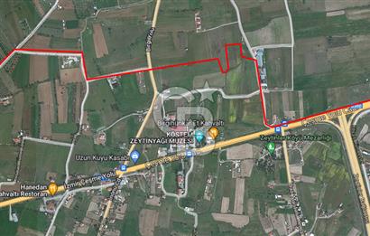 Urla Birgi'de, Bağların ve Zeytinliklerin Arasında Ege'nin Saklı