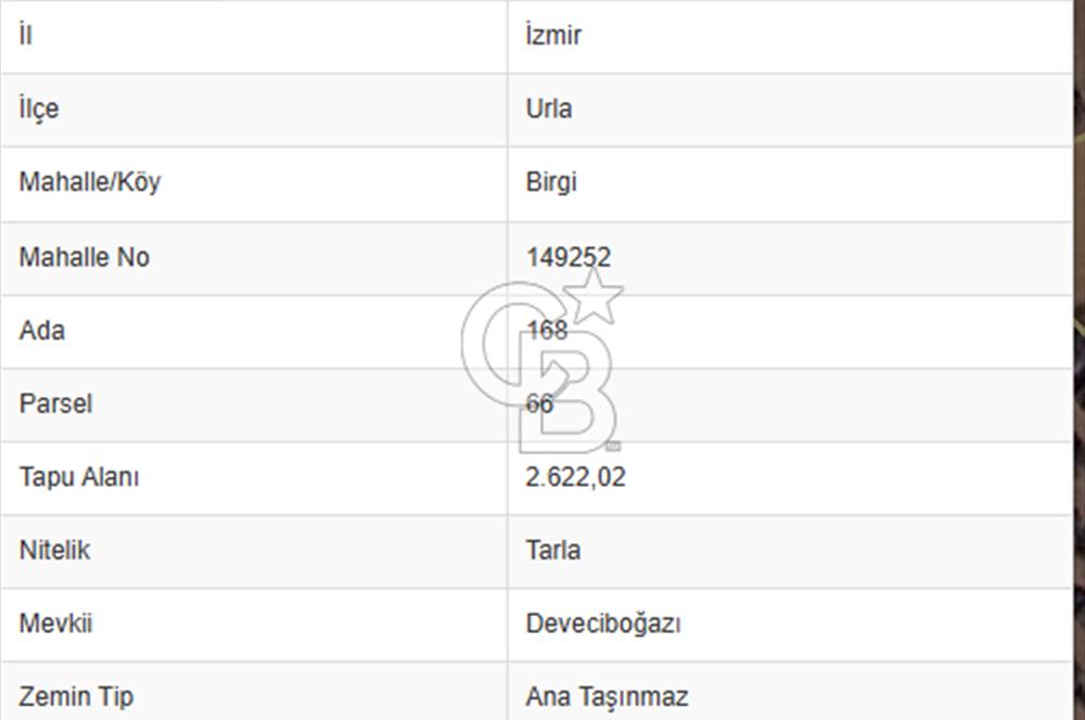 Urla Birgi'de, Bağların ve Zeytinliklerin Arasında Ege'nin Saklı