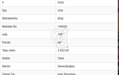 Urla Birgi'de, Bağların ve Zeytinliklerin Arasında Ege'nin Saklı
