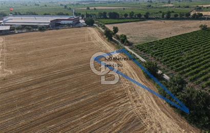 İstanbul-İzmir Yoluna 180 Metre, Yatırımlık 300 Metrekare Tarla