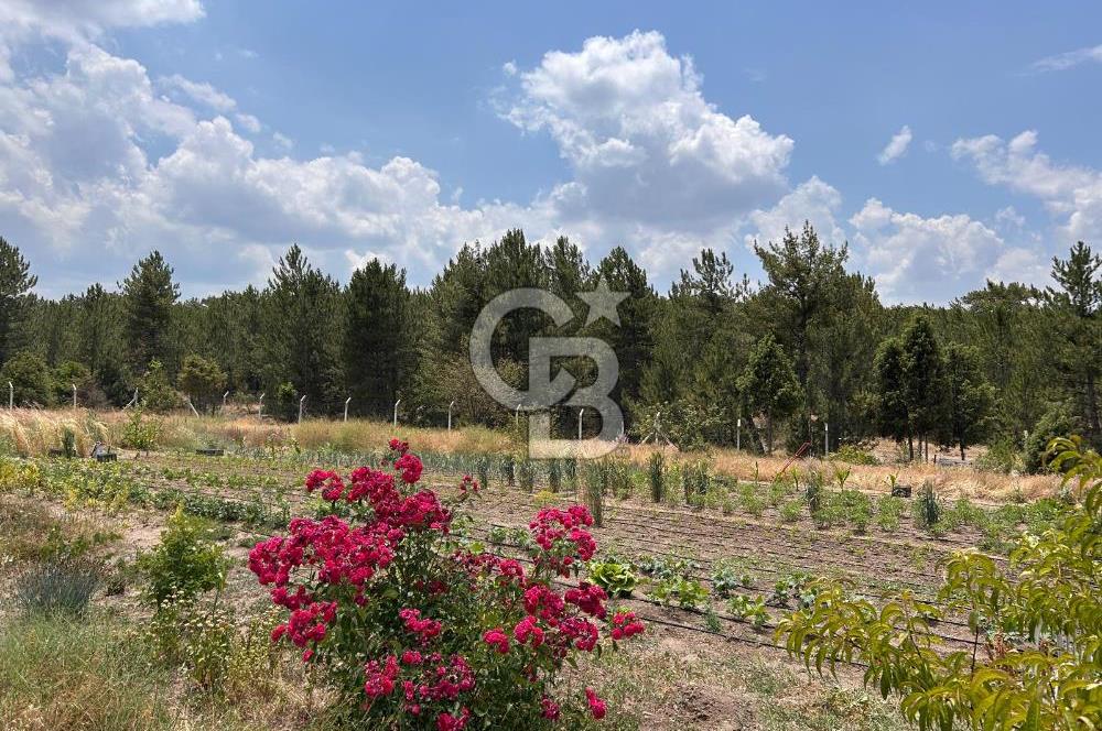 CB CITY'DEN KARGIN MAH. SATILIK MÜSTAKİL BAHÇELİ 3+1 EV
