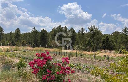 CB CITY'DEN KARGIN MAH. SATILIK MÜSTAKİL BAHÇELİ 3+1 EV