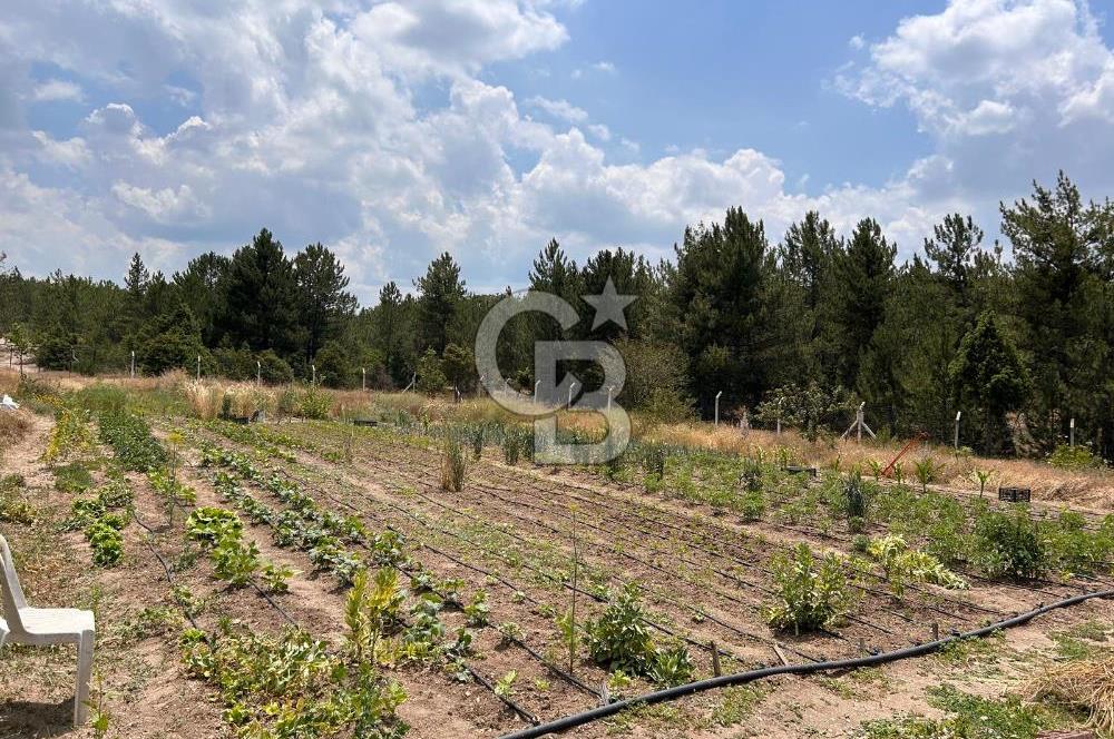 CB CITY'DEN KARGIN MAH. SATILIK MÜSTAKİL BAHÇELİ 3+1 EV