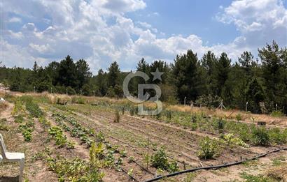 CB CITY'DEN KARGIN MAH. SATILIK MÜSTAKİL BAHÇELİ 3+1 EV