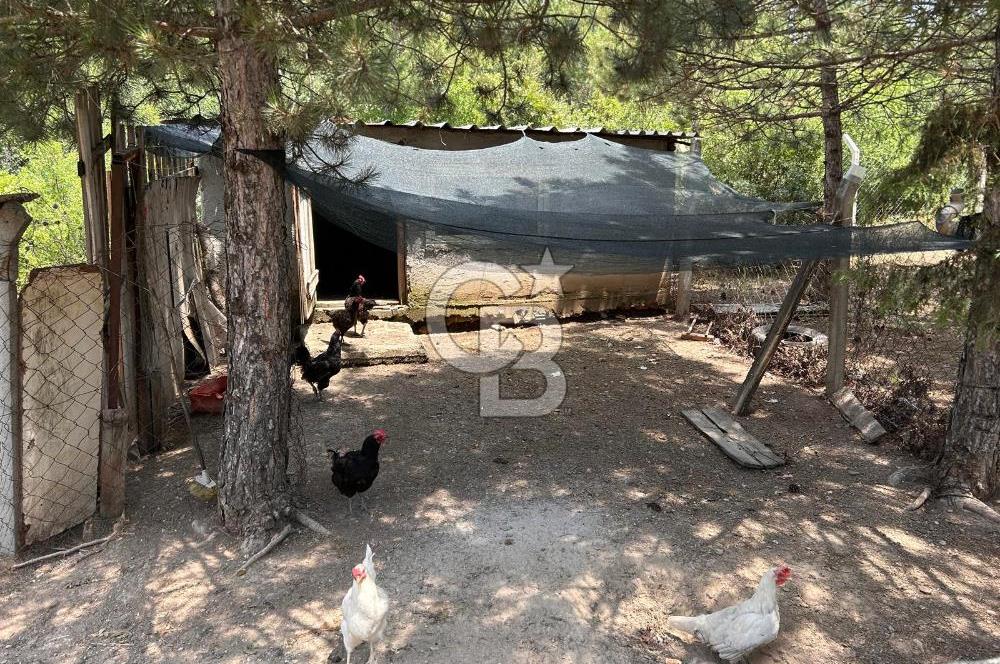 CB CITY'DEN KARGIN MAH. SATILIK MÜSTAKİL BAHÇELİ 3+1 EV