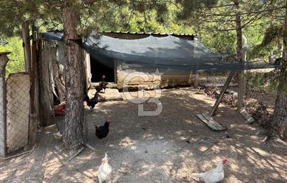 CB CITY'DEN KARGIN MAH. SATILIK MÜSTAKİL BAHÇELİ 3+1 EV