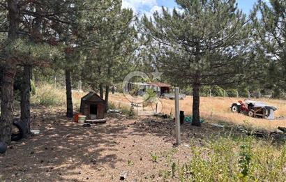 CB CITY'DEN KARGIN MAH. SATILIK MÜSTAKİL BAHÇELİ 3+1 EV