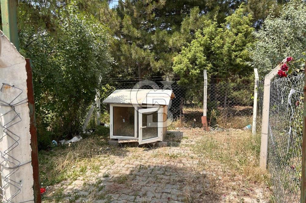 CB CITY'DEN KARGIN MAH. SATILIK MÜSTAKİL BAHÇELİ 3+1 EV