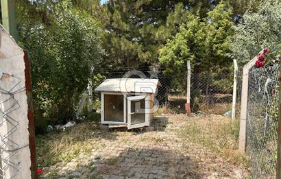 CB CITY'DEN KARGIN MAH. SATILIK MÜSTAKİL BAHÇELİ 3+1 EV