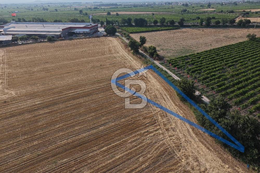 İstanbul-İzmir Yoluna 180 Metre, Yatırımlık 300 Metrekare Tarla