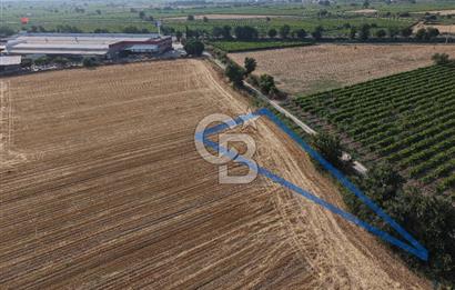 İstanbul-İzmir Yoluna 180 Metre, Yatırımlık 300 Metrekare Tarla