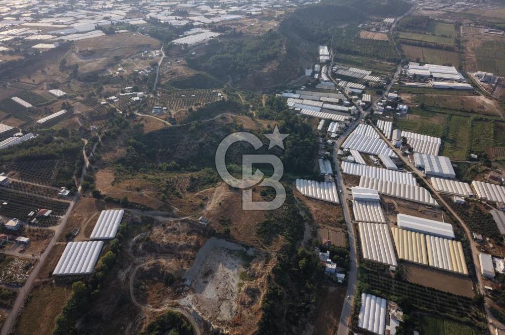 Antalya Aksu Çalkaya Satılık 5.5M TL Takaslı Tarla
