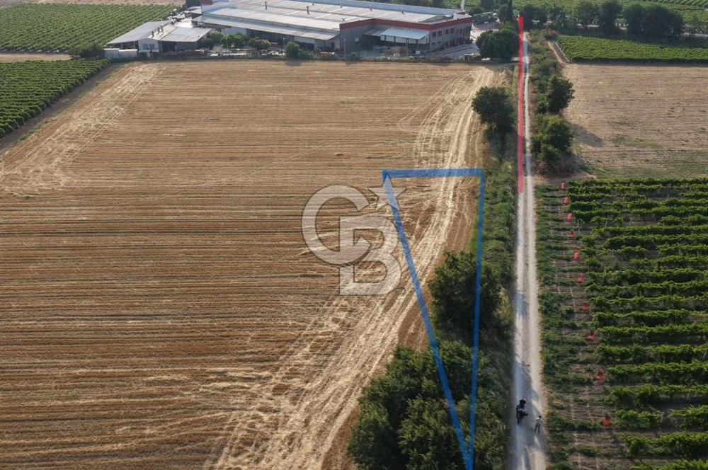 İstanbul-İzmir Yoluna 180 Metre, Yatırımlık 300 Metrekare Tarla