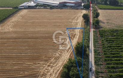 İstanbul-İzmir Yoluna 180 Metre, Yatırımlık 300 Metrekare Tarla