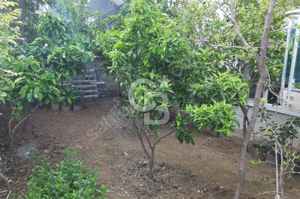 Doğanbey de Denize Yürüme Mesafesinde Kiralık Eşyalı Müstakil