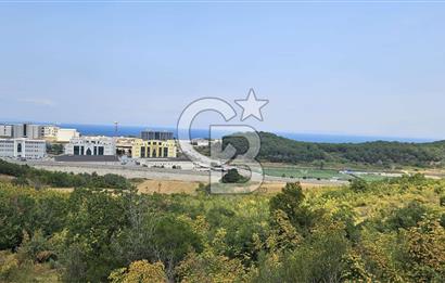 YALOVA MERKEZ SAMANLIDA FULL DENİZ MANAZARALI 946M2 SATILIK ARSA