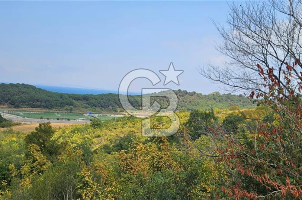 YALOVA MERKEZ SAMANLIDA FULL DENİZ MANAZARALI 946M2 SATILIK ARSA