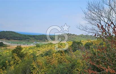 YALOVA MERKEZ SAMANLIDA FULL DENİZ MANAZARALI 946M2 SATILIK ARSA