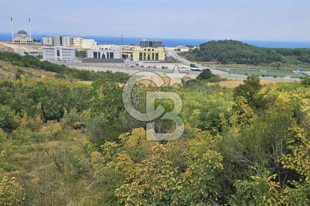 YALOVA MERKEZ SAMANLIDA FULL DENİZ MANAZARALI 946M2 SATILIK ARSA