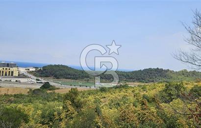 YALOVA MERKEZ SAMANLIDA FULL DENİZ MANAZARALI 946M2 SATILIK ARSA