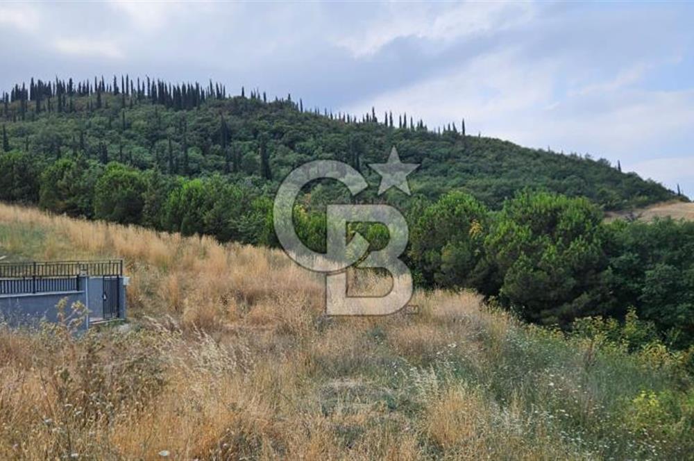YALOVA MERKEZ SAMANLIDA FULL DENİZ MANAZARALI 946M2 SATILIK ARSA