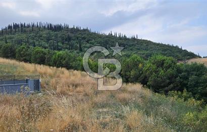 YALOVA MERKEZ SAMANLIDA FULL DENİZ MANAZARALI 946M2 SATILIK ARSA
